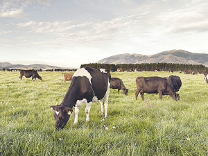 Farm and herd sizes are getting bigger, and the farm owner is often more removed.