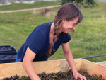 Women in Wine: Ashleigh Barrowman’s Path to Siren