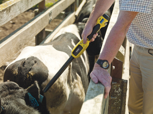 90% of livestock farmers met their NAIT obligations in 2021.