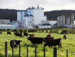 Fonterra is helping in producing hand sanitiser.