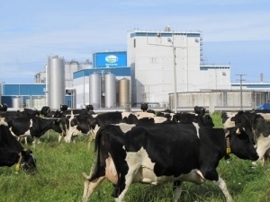 Fonterra&#039;s lacklustre 20-page document will struggle to stimulate farmers, already in favour of a radical change in the board size.
