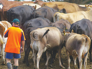 A recent report on remuneration for farm workers shows the great strides dairy farmers have made over the years.