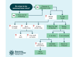 Removing Grapevines Safely: Disposal Options Compared