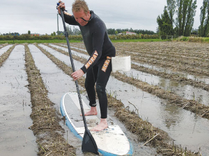 The weather’s been no laughing matter for North Canterbury market gardener Cam Booker, but that didn’t stop him having a giggle as he tried to harvest his waterlogged asparagus on a paddleboard.