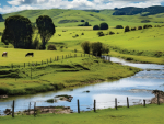 The Environment Court has directed Waikato Regional Council to make 20 specific changes to finalise a landmark plan to improve water quality in the Waikato and Waipā rivers.