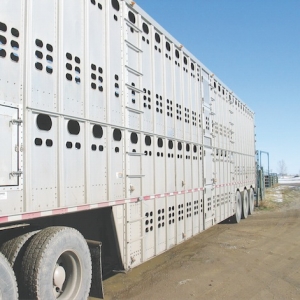 Canadian calf truck - University of Saskatchewan