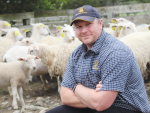 Dr Nick Sneddon is now leading the self-shedding Wiltshire sheep project.