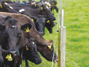 Ospri brings Bovine TB testing in-house