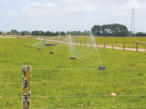 Effluent irrigation can cause trough water contamination.