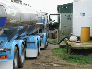 Milk must be down to temperature before the tanker comes to collect it.
