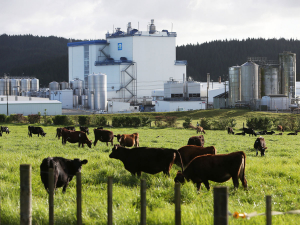 Fonterra and Royal DSM are joining forces to tackle sustainability in farming.