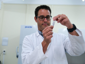 NZ Study Tracks Beetles Carrying Fungi Across Ecosystems