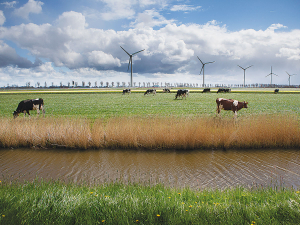 FrieslandCampina rewards farmers for grazing cows.