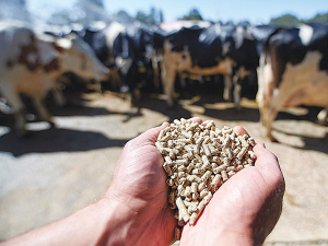 Pelletised dairy rations offer a level of consistency that is hard to beat.