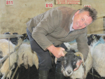 Irish farmer Eamon Nee says poor sheep prices are forcing him to seek work off farm.