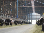 Fonterra has announced it intends to end its involvement with farms Beingmate businesses in China.