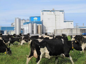 Fonterra farmers will vote for three new directors this year.