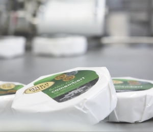 Goodman faces ‘opportunistic’ takeover bid