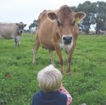 ‘Legendairy’ Oz farmers to showcase dairy