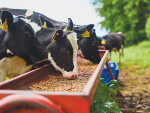 Feed safety practices recognised