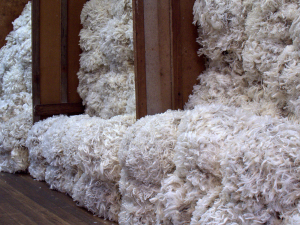 PETA wants web cams in shearing sheds