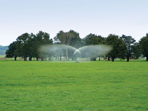 Any effluent applied to saturated soils is likely to pond and run off or leach through the soil or into tile drains, rather than being absorbed by the plants.