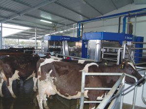 Reliable mobile phone coverage is vital for robotic milking.