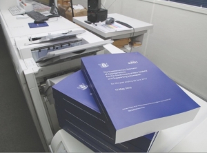 Budget does little to excite primary sector
