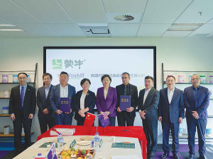 Maui Milk partners with major Chinese dairy company to expand sheep milk exports