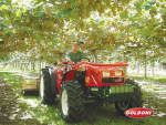 Goldoni has specialised in 4WD and Equal Wheeled tractors dedicated to orchards and vineyards since 1926.