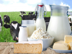 Dairy prices rise