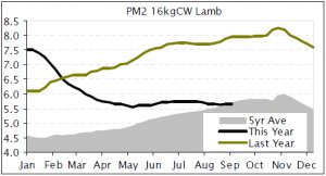 LAMB | Too much frozen product