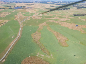 Environment Southland recently took to the skies to support improvements to winter grazing practices in the region.