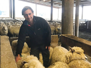 Fairlie farmer Nigel Bishell is using UHF RFID eartags on his flock and says it helps him achieve a big increase in lambing percentages. Supplied: ANZCO.