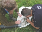 Pick-your-own biocontrol on offer