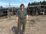 How Wearable Tech Helped One NZ Farmer Cut CIDR Use and Improve Mating Success