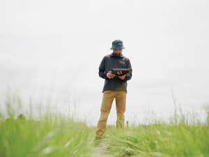 Long shot research by forage breeder nails pasture success