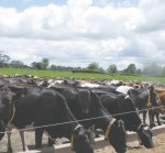 To raise production, rethink feed inputs