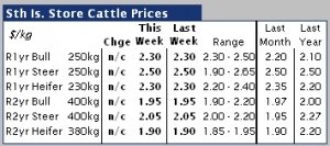 South Island store cattle market firm