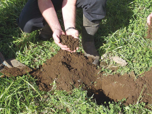 Humates are known to boost soil fertility through altering soil bacterial populations.