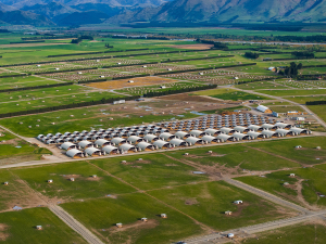 Patoa Farms, New Zealand's Largest Pig Farm, Sold to Pork Industry Consortium
