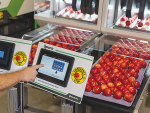 The Aporo II robotic produce packaging machine packs 240 fruit per minute – saving between two and four labour units per double packing belt.