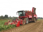 Grimme Rexor 620 harvester.