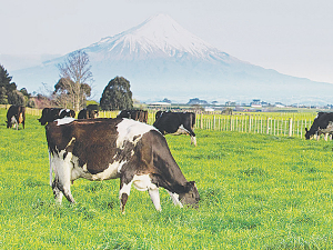 Taranaki farmers says slow pasture growth and bad weather have hampered milk production.