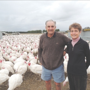 Calling time on turkeys
