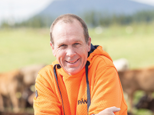 Pāmu FY26 Report: Profit More Than Doubles to $113m