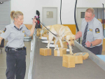 Detector dog handlers on duty this summer will increase nationwide from 30 to 39.