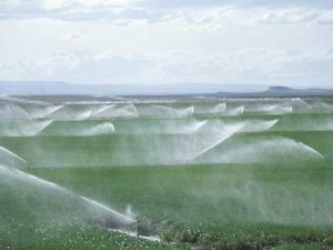These anti-irrigation groups share a false belief that irrigation schemes only benefit farmers and provide no economic or environmental benefits to the wider community.