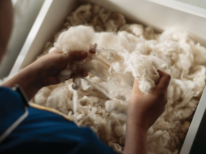 Strong Wool Prices Return NZ Growers to Profitability