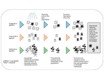 A graph showing how pesticide resistance develops.